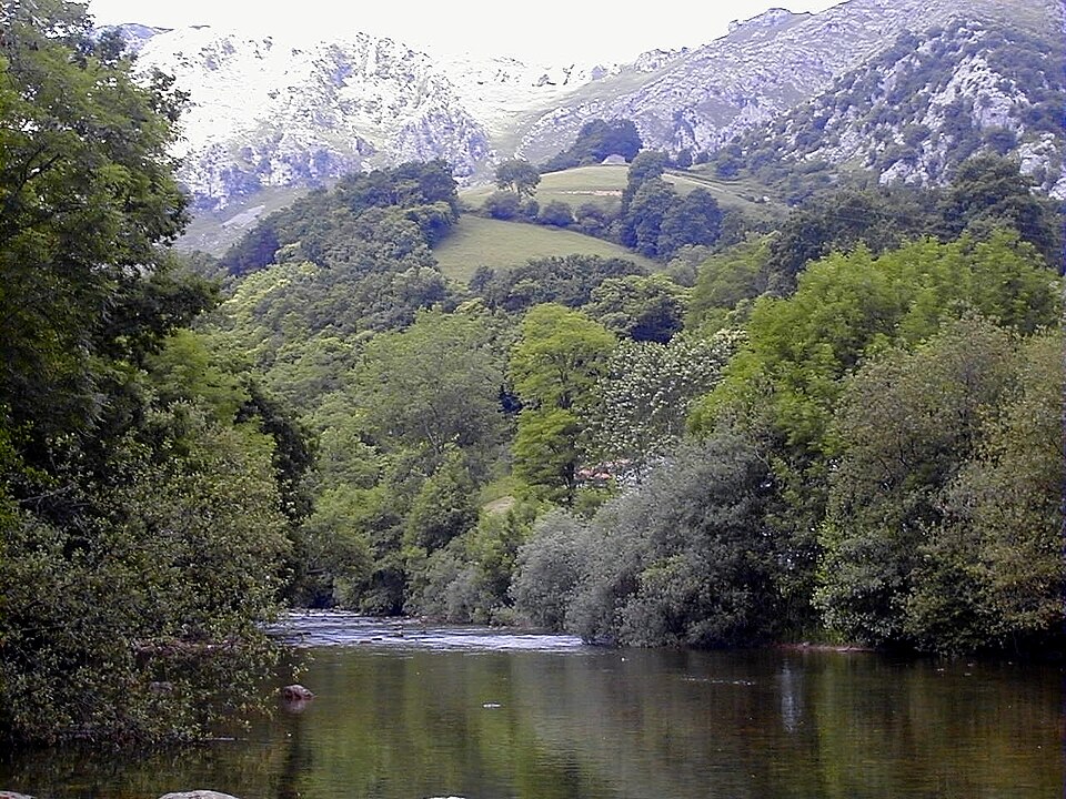 Canyoning en el Río Asón: desciende por cascadas salvajes entre acantilados de Cantabria